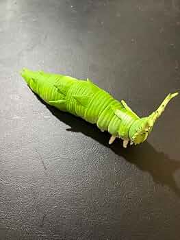 オオムラサキ（幼虫） オオムラサキ幼虫の今 | 日本の国蝶オオムラサキ研究所